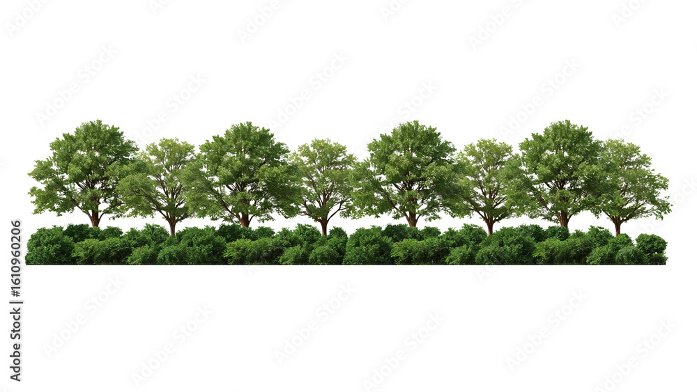 Poster lush green trees and dense shrubbery in a row on transparent background for graphic design projects