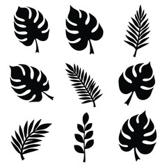 A Compilation Of Stylized Botanical Silhouettes Showcasing Diverse Foliage In A Simple Bold Manner