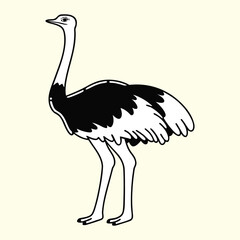 Ostrich vector cartoon illustration depicting a big, long-necked, flightless bird in its wild safari nature