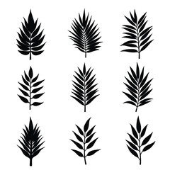 Obraz premium A Collection Of Nine Stark Black Silhouettes Of Coconut Palm Leaves Against A White Background