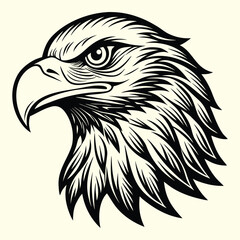 Bold eagle head vector illustration, a symbol of freedom and wild nature