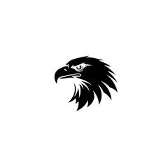 eagle vector illustration