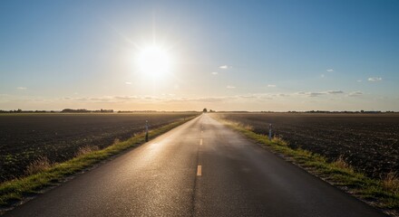 Naklejka premium Serene Country Road Under Bright Sunlight with Clear Blue Sky and Expansive Fields in Background