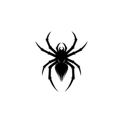 spider on white background
