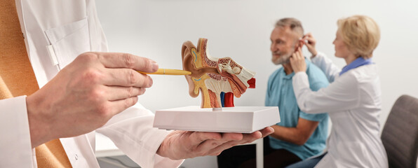 Treatment of hearing problems and ear diseases in a hearing clinic, audiology or ENT. Selection of hearing aids