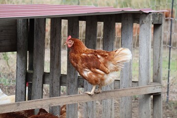 Stock control