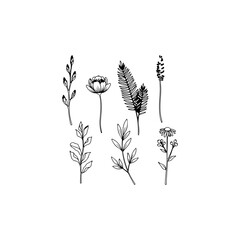 black and white flower