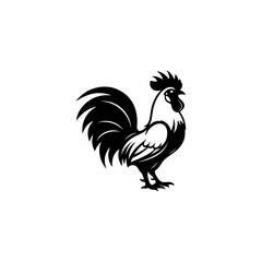 rooster vector illustration