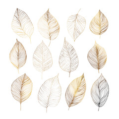 A collection of gold and silver leaf outlines isolated on transparent background