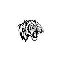 head of tiger