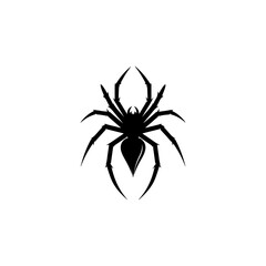 black spider isolated on white