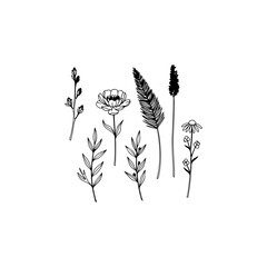 black and white flowers