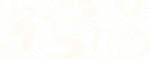 Gold Topographic Contour Lines on White Background 2