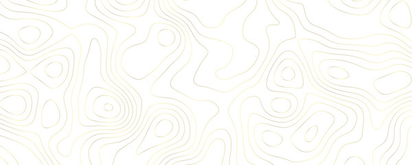 Fototapeta premium Gold Topographic Contour Lines on White Background 1
