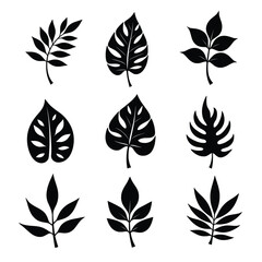 Nine Stylized Plant Leaves Are Displayed In Black And White Providing Graphic Botanical Elements