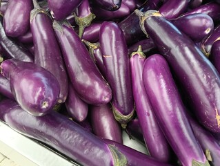 Fresh eggplants on display at a farmers market in malaysia
long variety
