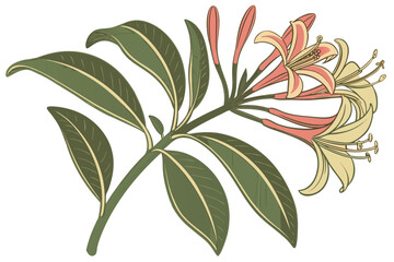 live plant with flower 