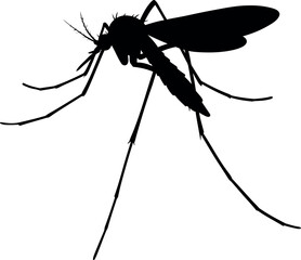 Mosquito silhouette pest control insect danger