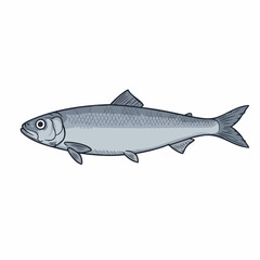 Obraz premium Detailed Illustration of a Silver Fish with Fins and Scales.