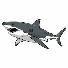 Fototapeta premium Cartoon Great White Shark with Open Mouth and Sharp Teeth Illustration