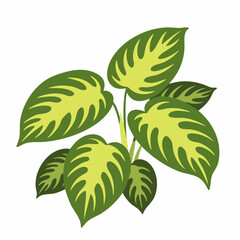 Vibrant Cluster of Monstera Deliciosa Leaves in a Detailed Illustration