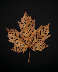 Fire truck unique carving leaf art on plain black background