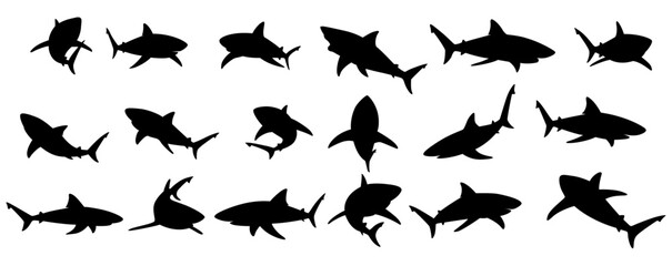 Illustration of a shark silhouette in various poses. Vector illustration.