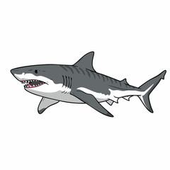 Obraz premium A Powerful Gray and White Shark in Profile View