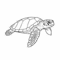 Naklejka premium Detailed Line Art Illustration of a Sea Turtle