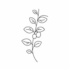 Obraz premium Delicate Line Art Depicting a Simple Branch with Berries and Leaves