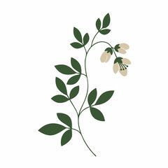 Obraz premium Elegant Green Branch with Delicate Beige Blooms