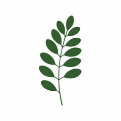 Fototapeta premium Stylized Dark Green Leafy Branch with Rounded Leaves and Simple Stem