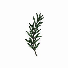 Stylized Rosemary Sprig Illustration with Dark Green Leaves and Brown Stem