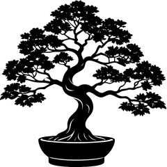 bonsai tree isolated on white