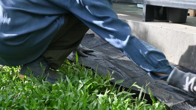 Someone using black plastic sheeting for preventing weed growth by covered soil. It works by blocking sunlight, which is essential for plant growth, and essentially suffocating weeds.