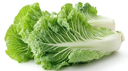 Fresh, vibrant Napa cabbage heads, showcasing their crisp, light-green leaves and pale-white core, displayed against a pure white background.