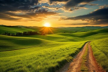 Obraz premium Golden hour sunlight bathes the picturesque landscape of tuscany, italy, highlighting a winding dirt road amidst vibrant green hills