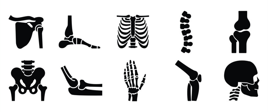 Orthopedic and spine vector icons. Human bone of illustration and anatomy skeleton bone, Medical organs line icon set. Anatomical vector pictograms of bones, body parts, in transparent background.