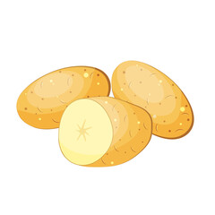 set of whole and cut potatoes isolated on white background.