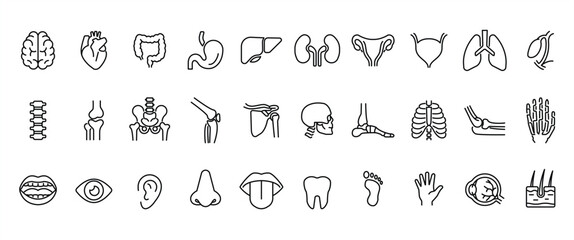 Set of medical organ line icons. Anatomical vector pictograms, body parts, kidney, bladder, intestine, thyroid, pelvis, skeleton, hand, nose, mouth, tongue, thin linear illustrations on a tranparent