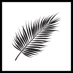 Palm leaf silhouette clipart, nature