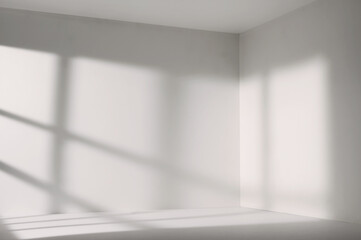 Sunlight from the window shines on the empty room walls and floor