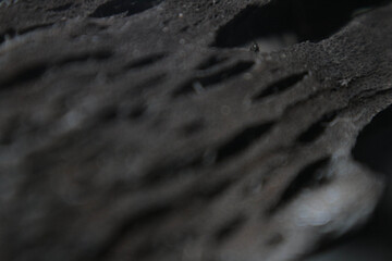 detail texture of wood charcoal