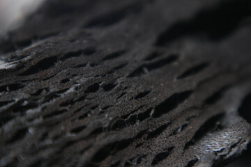 detail texture of wood charcoal