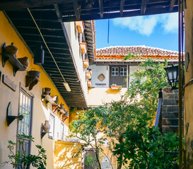 A stylish vintage interior of a house courtyard with yellow walls and small tropical garden in the middle.