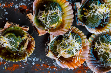 Delicious grilled scallops in shells,  fresh seafood with a sause and soy sprouts.