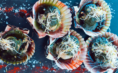 Delicious grilled scallops in shells,  fresh seafood with a sause and soy sprouts.