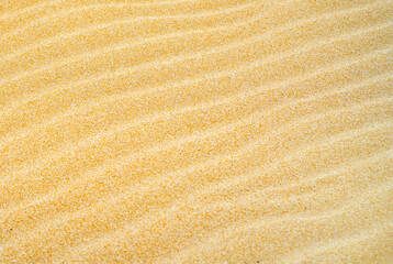 Sandy yellow waves, formations in a desert, textured nature background.