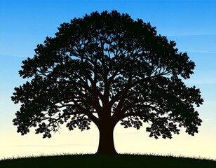 Obraz premium Silhouetted oak tree against a sunrise/sunset sky
