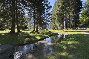 lake in the park in gressoney italy